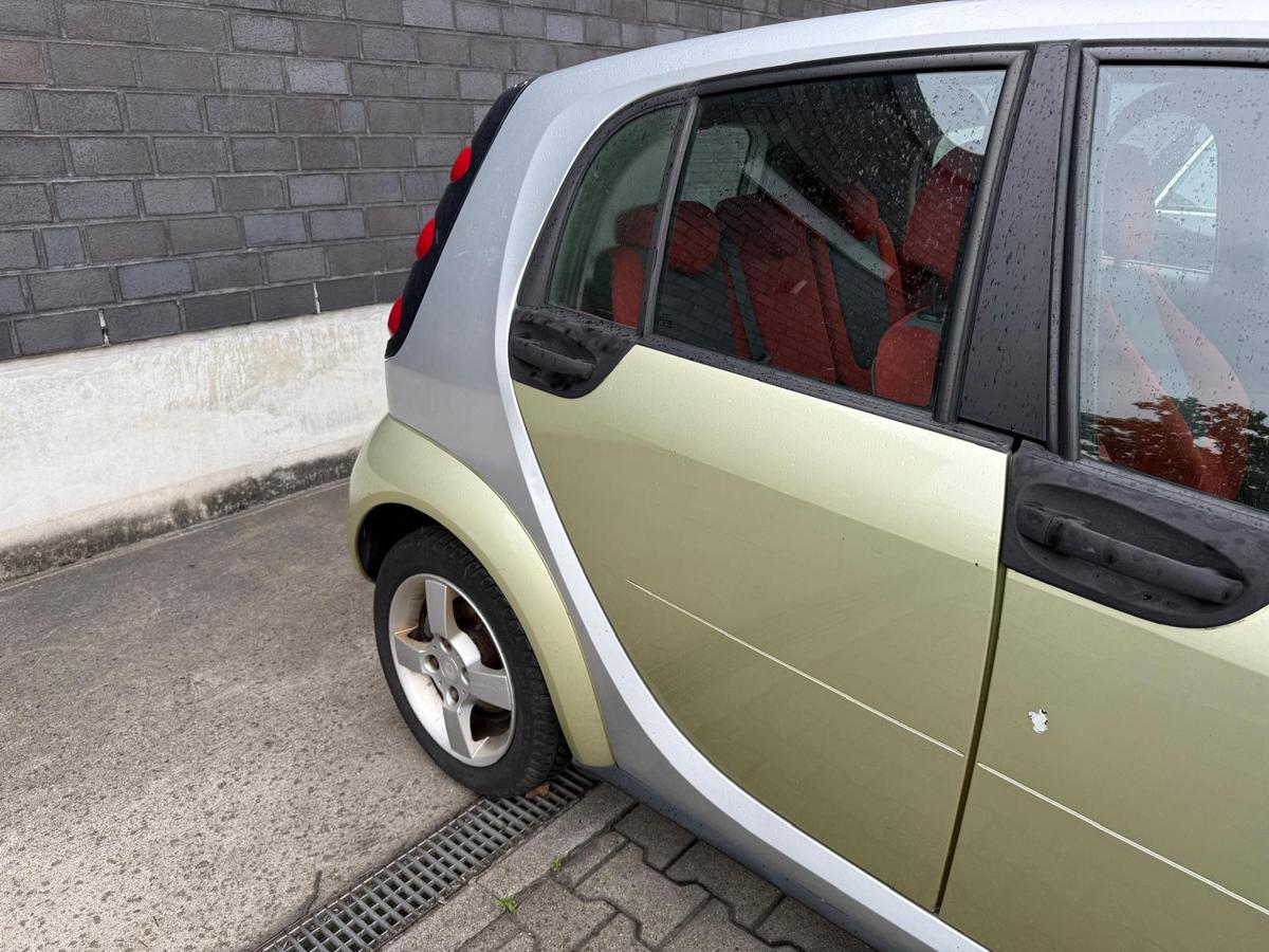 Smart ForFour 454 BJ05 original Tür hinten rechts EAR Melon Green Rohbau